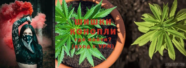 марихуана Богданович