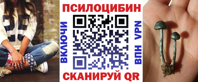 Псилоцибиновые грибы прущие грибы  Острогожск 